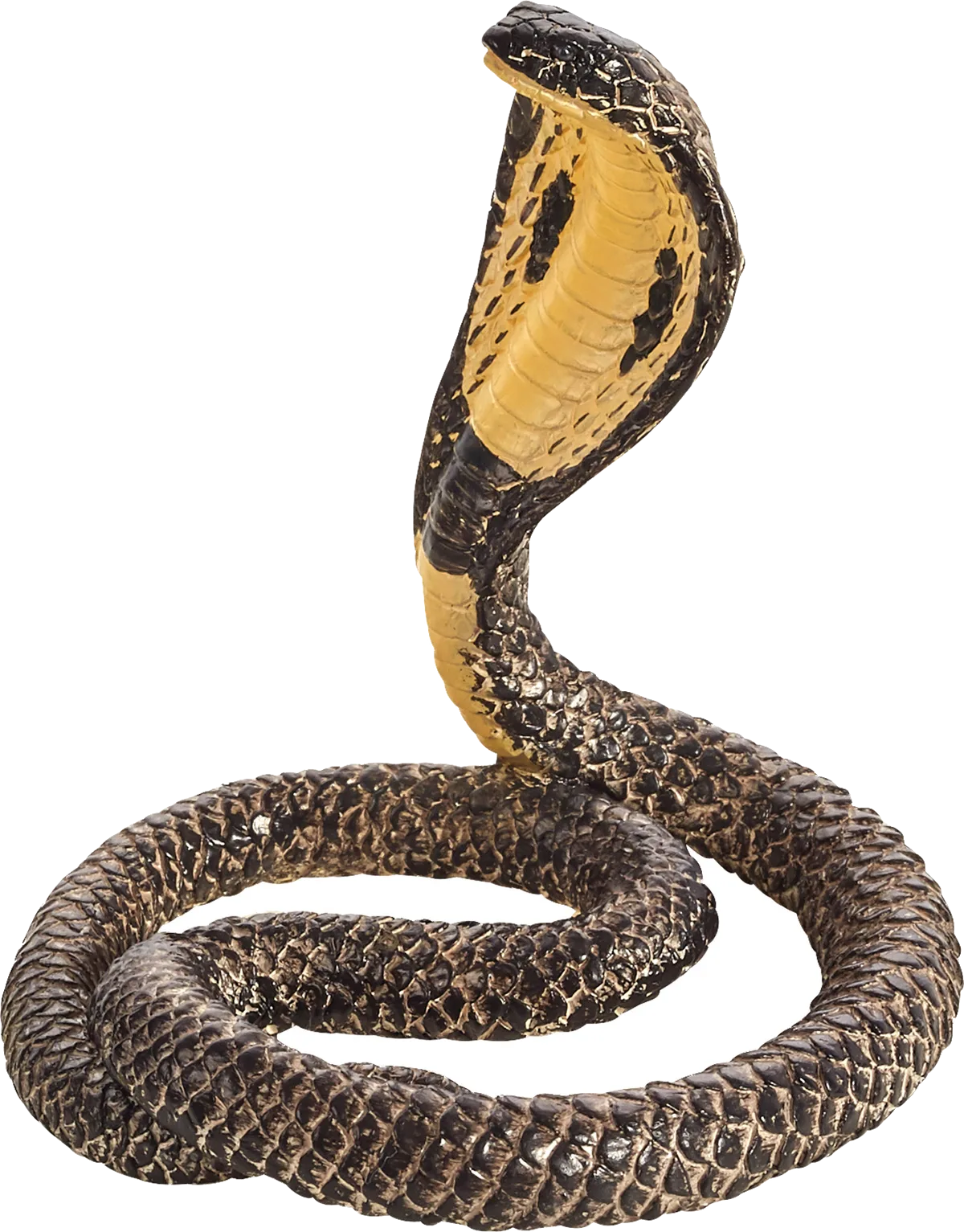 Mojo King Cobra - image 1