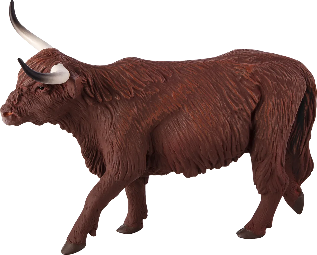 Mojo Scottish Highland Cow - image 1