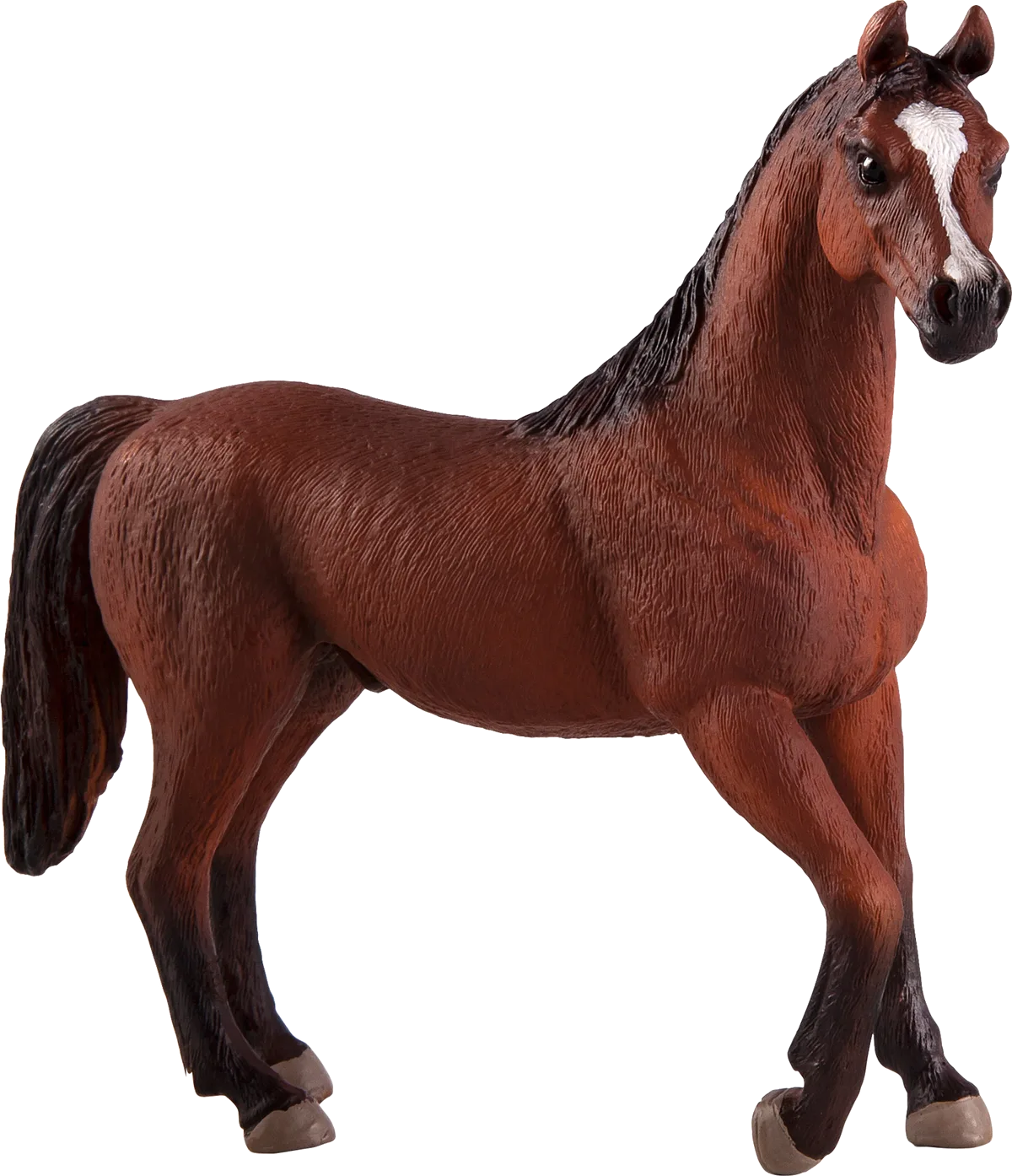 Mojo Arabian Stallion, Chestnut - image 1