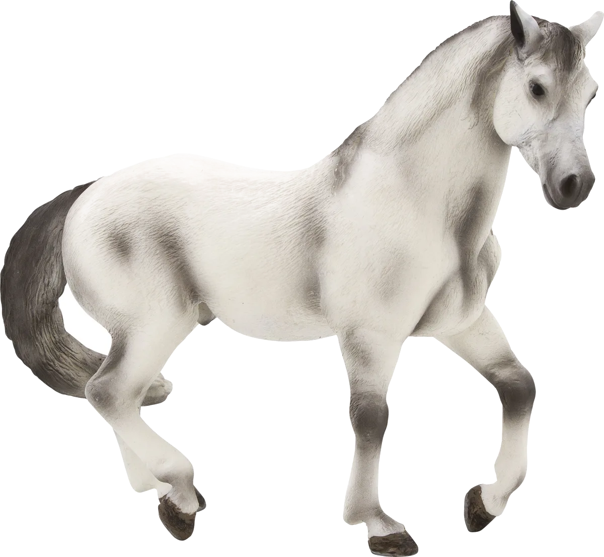 Mojo American Stallion, Grey - image 1