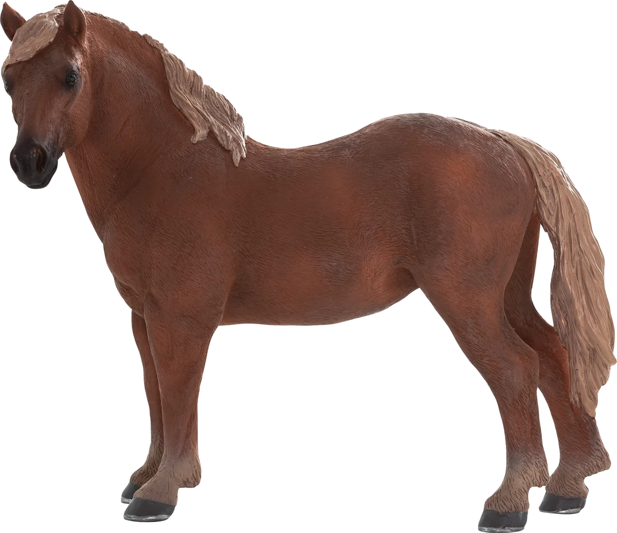 Mojo Suffolk Mare - image 1