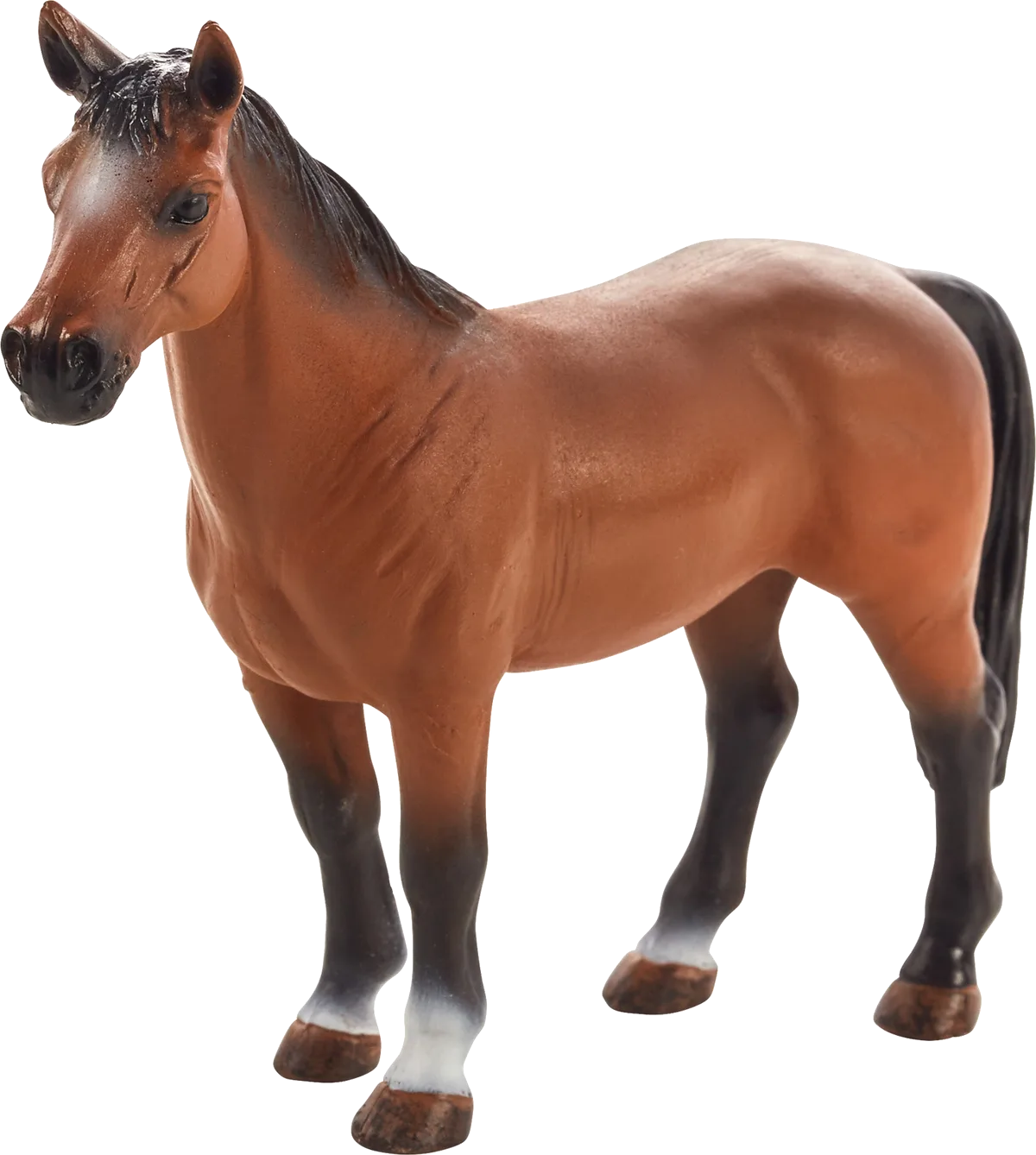 Mojo Trakehner Horse - image 1