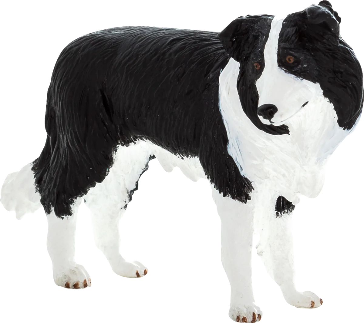 Mojo Border Collie Dog - image 1