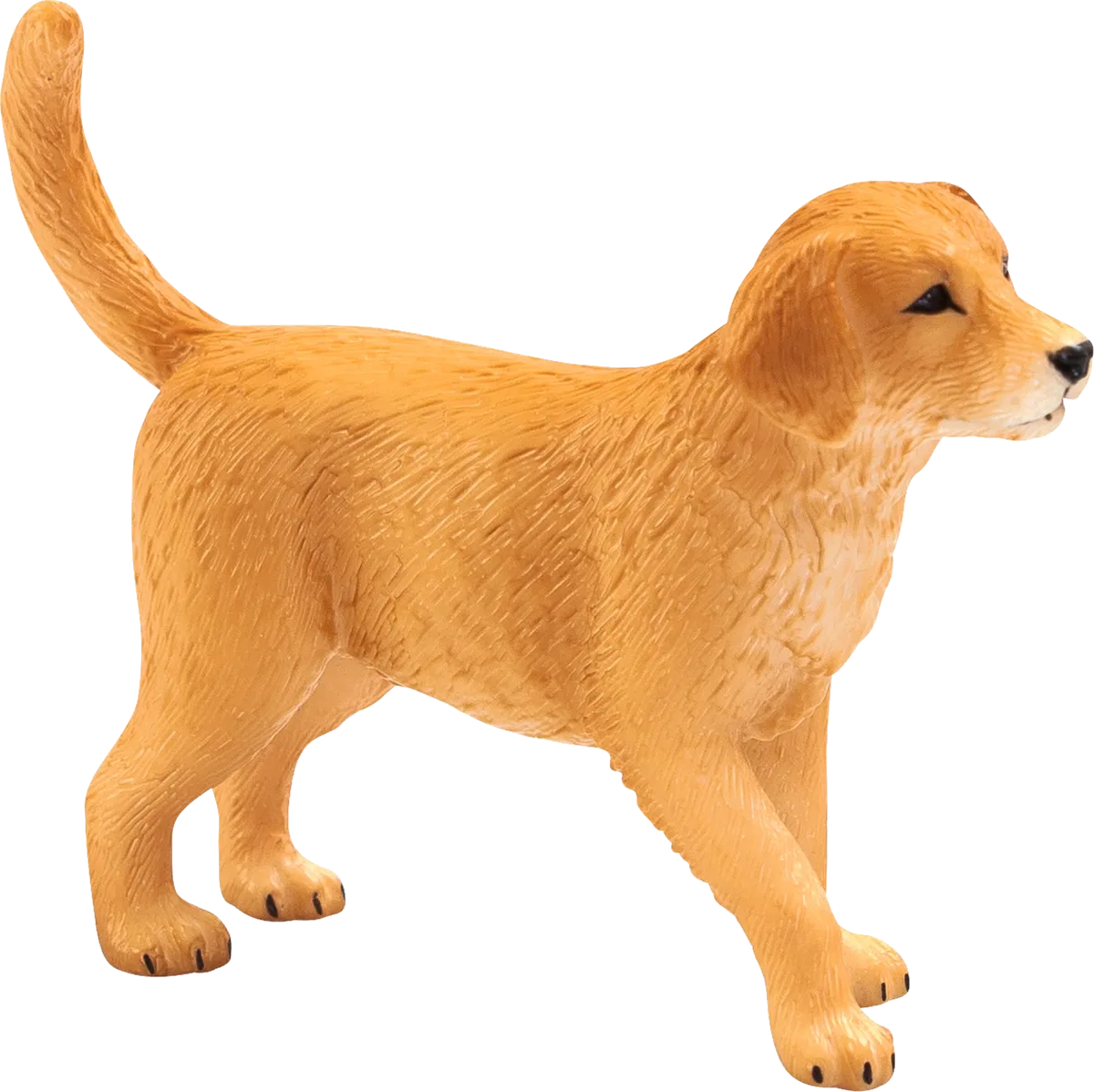 Mojo Golden Retriever Puppy - image 1