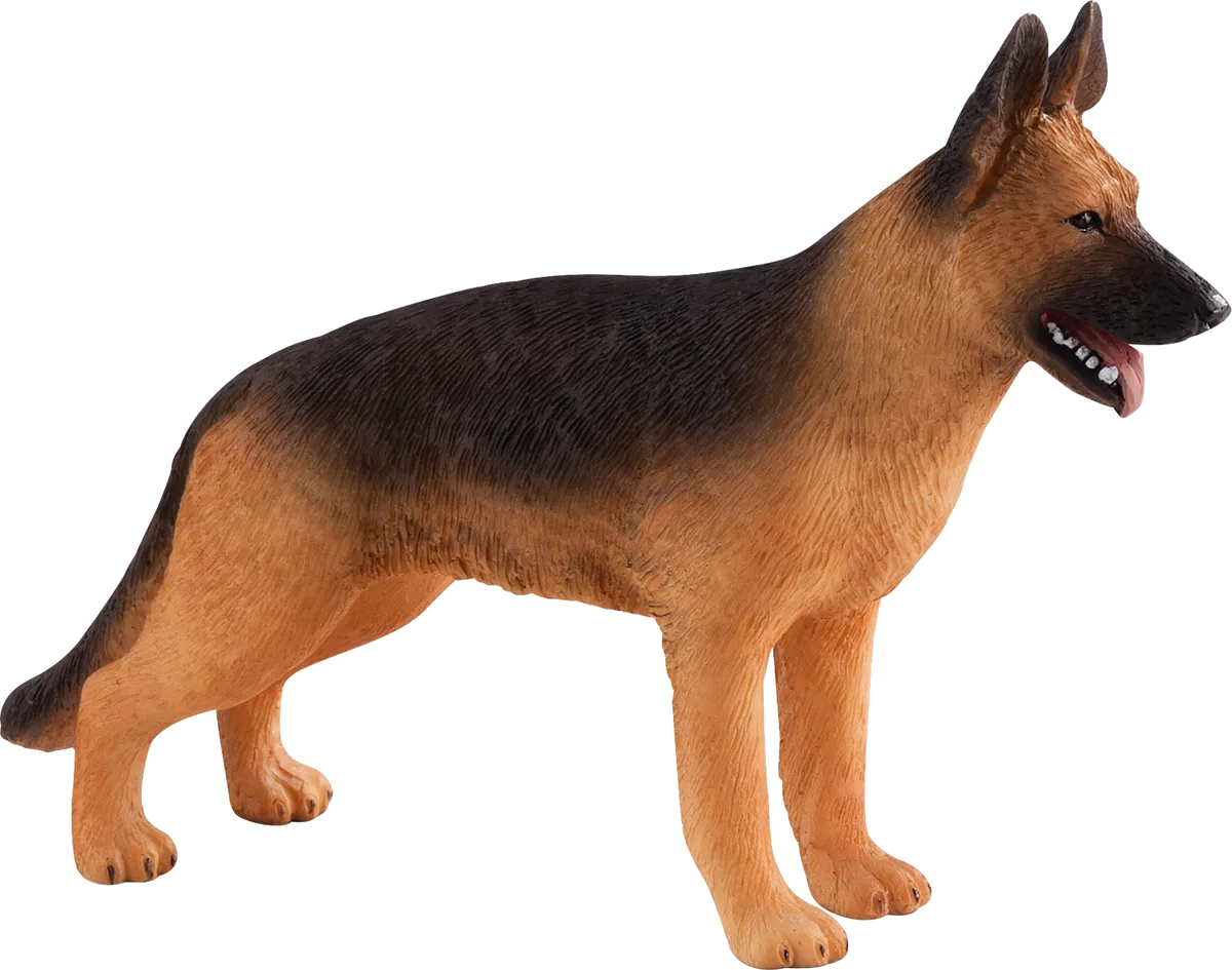 Mojo German Shepherd - image 1
