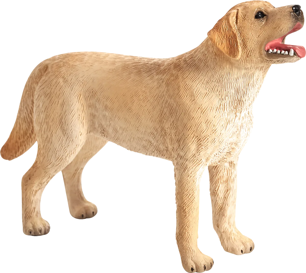 Mojo Labrador - image 1