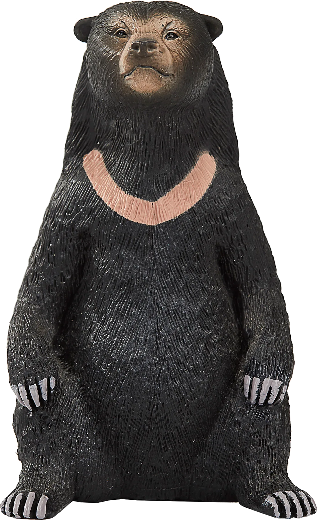 Mojo Sun Bear - image 1