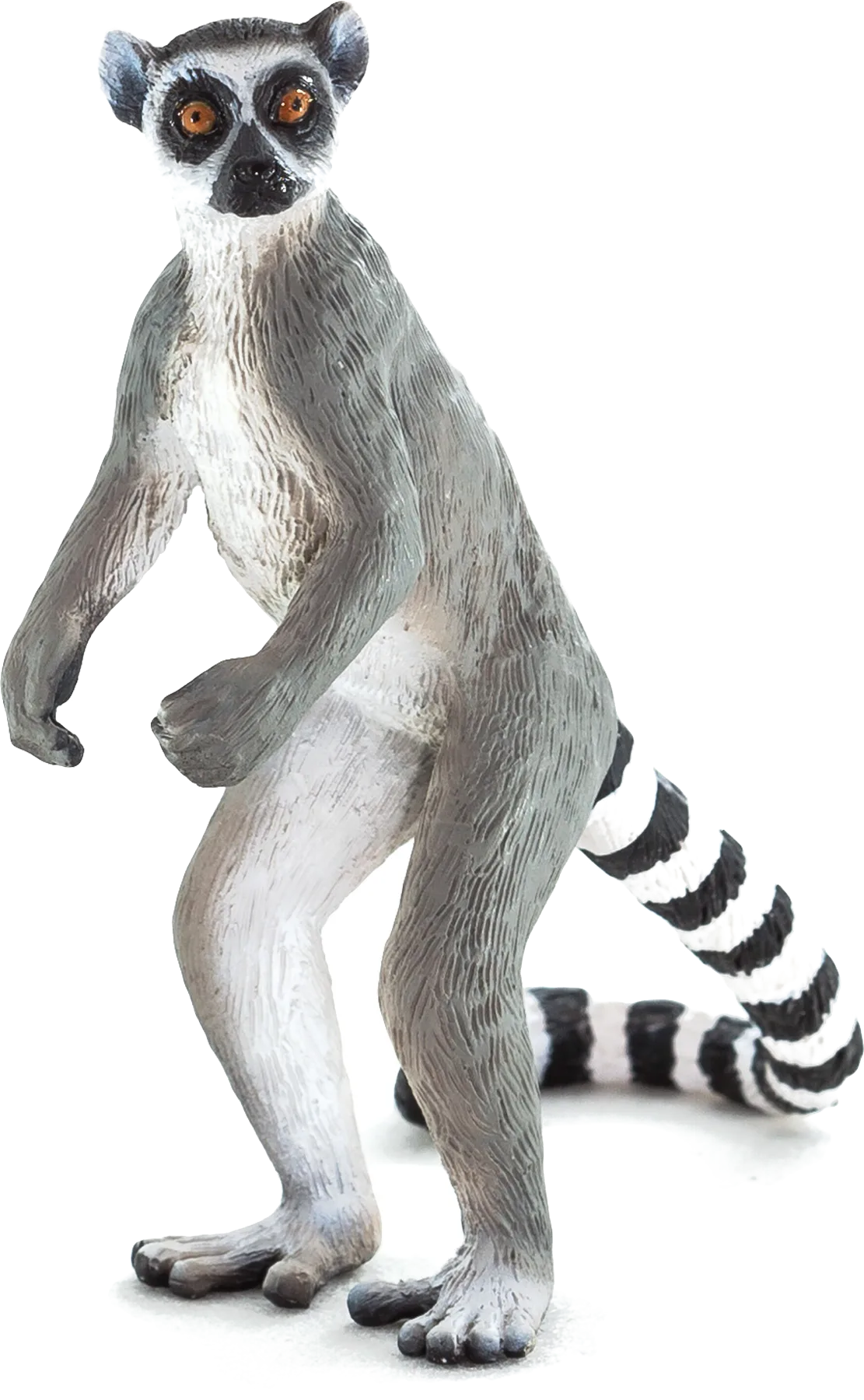 Mojo Ring tail Lemur - image 1