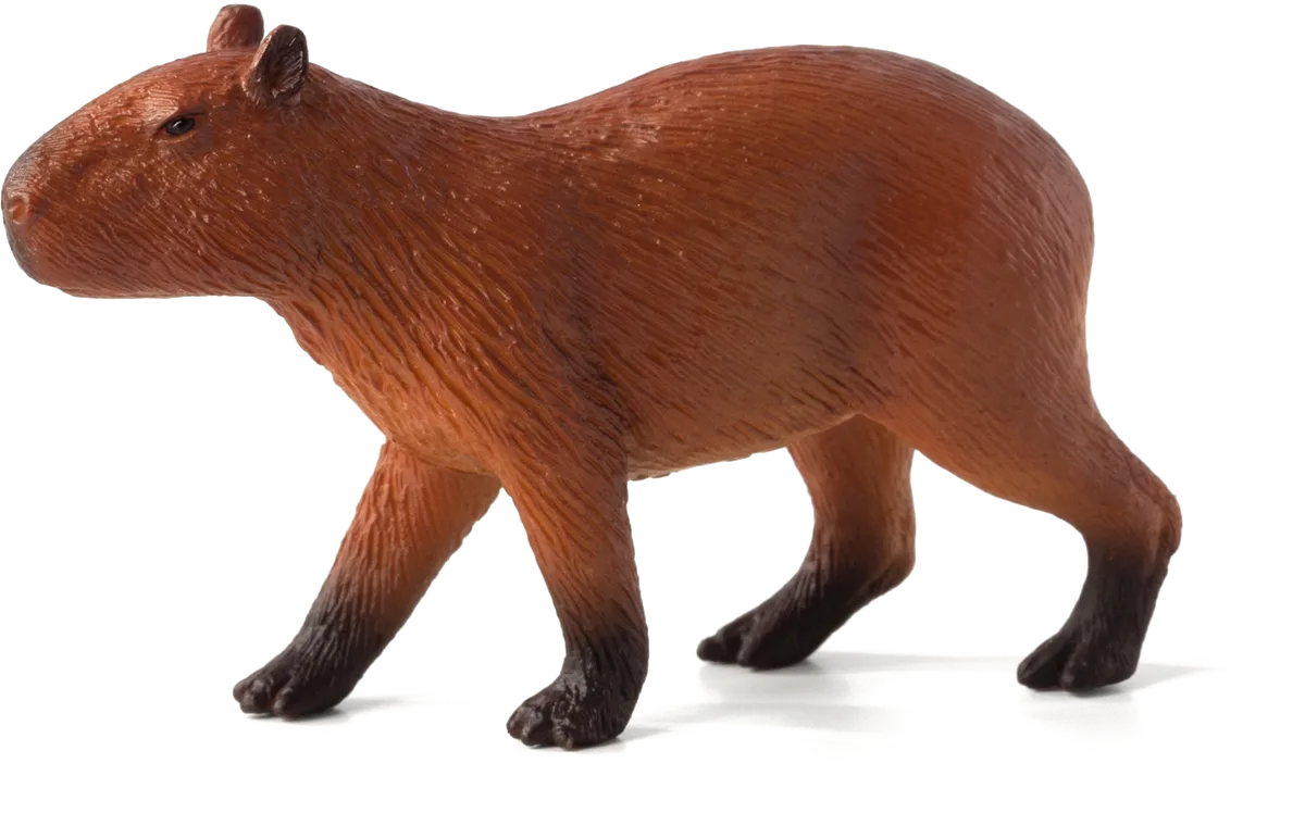 Mojo Capybara - image 1