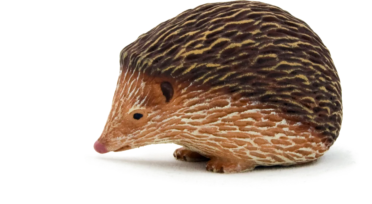 Mojo Hedgehog - image 1
