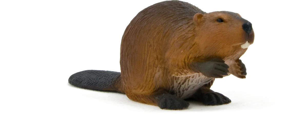 Mojo Beaver - image 1