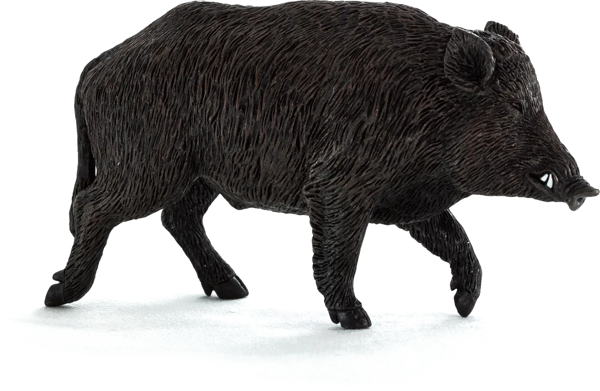 Mojo Wild boar - image 1