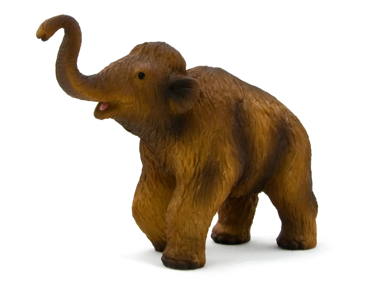Mojo Wool haired Mammoth Cub - image 1
