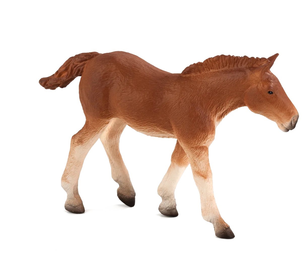 Mojo Suffolk Foal - image 1