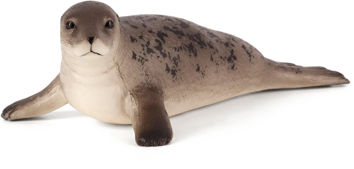 Mojo Grey Seal - image 1