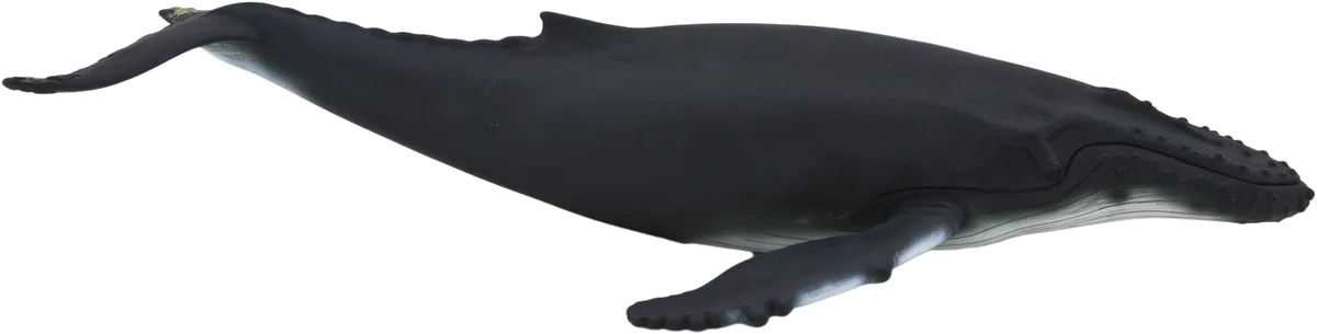 Mojo Humpback Whale - image 1