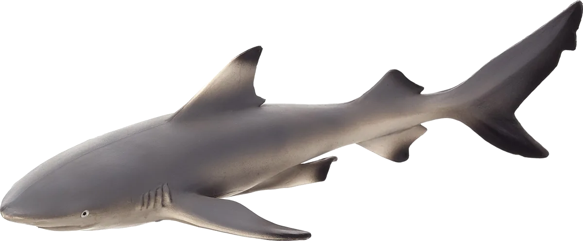 Mojo Black-tipped Reef Shark - image 1