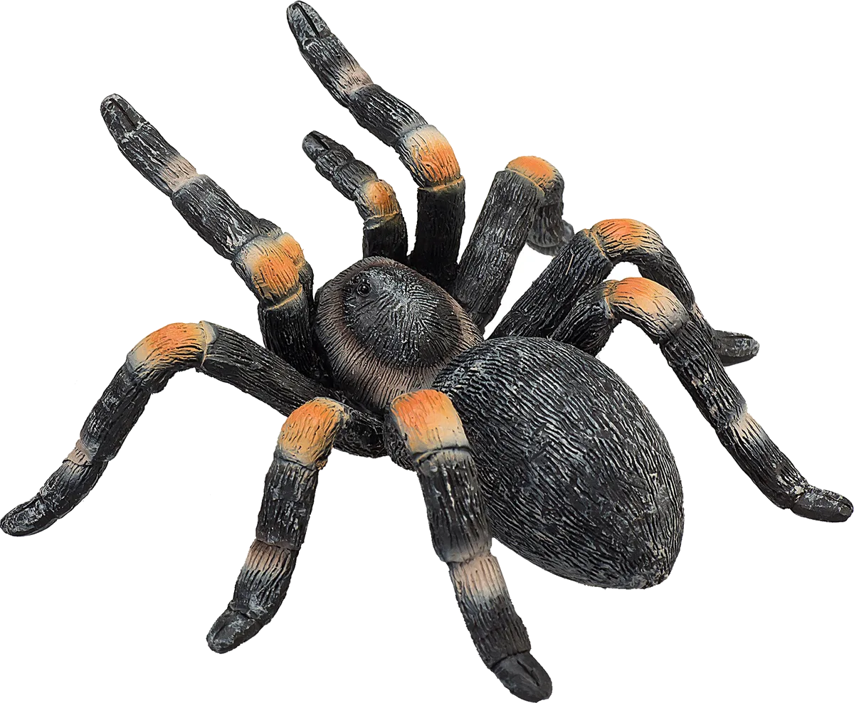 Mojo Mexican Tarantula - image 1