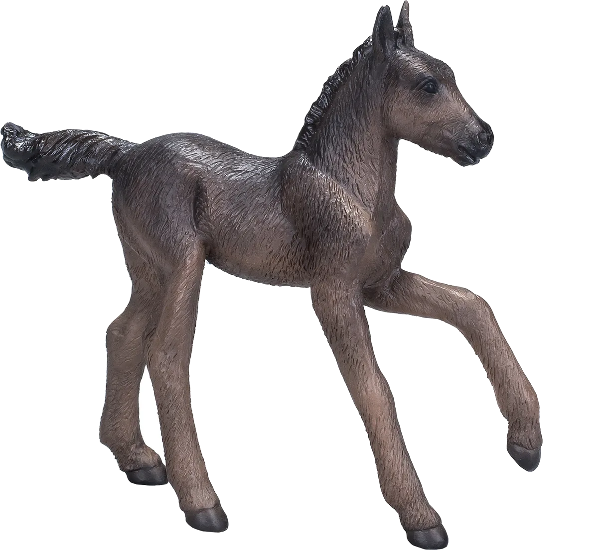 Mojo Arabian Foal, Black - image 1