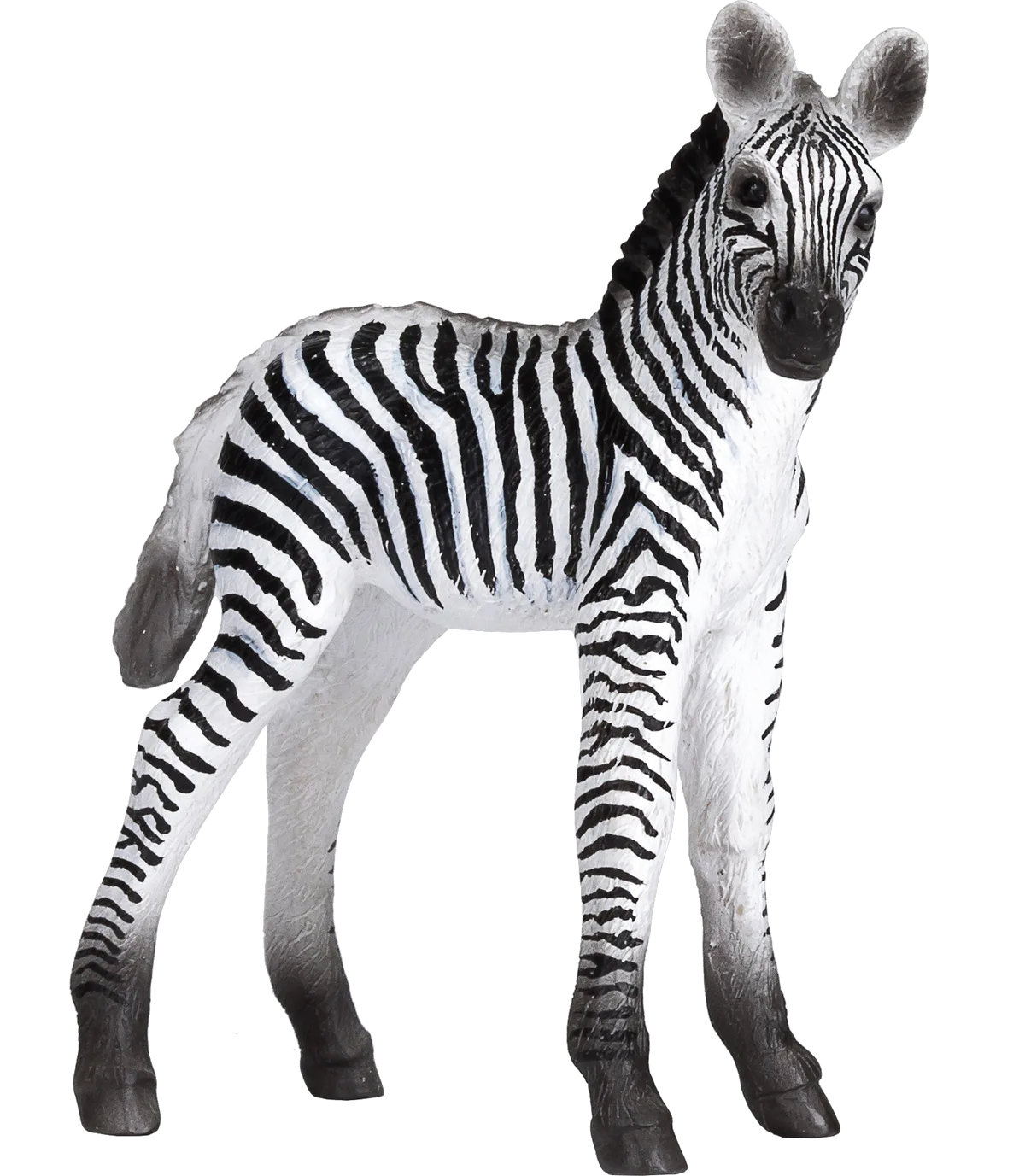 Mojo Zebra Foal - image 1
