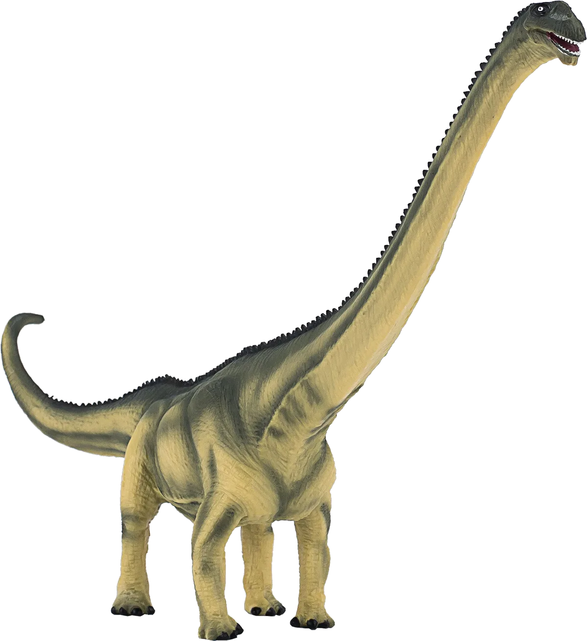 Mojo Mamenchisaurus - image 1