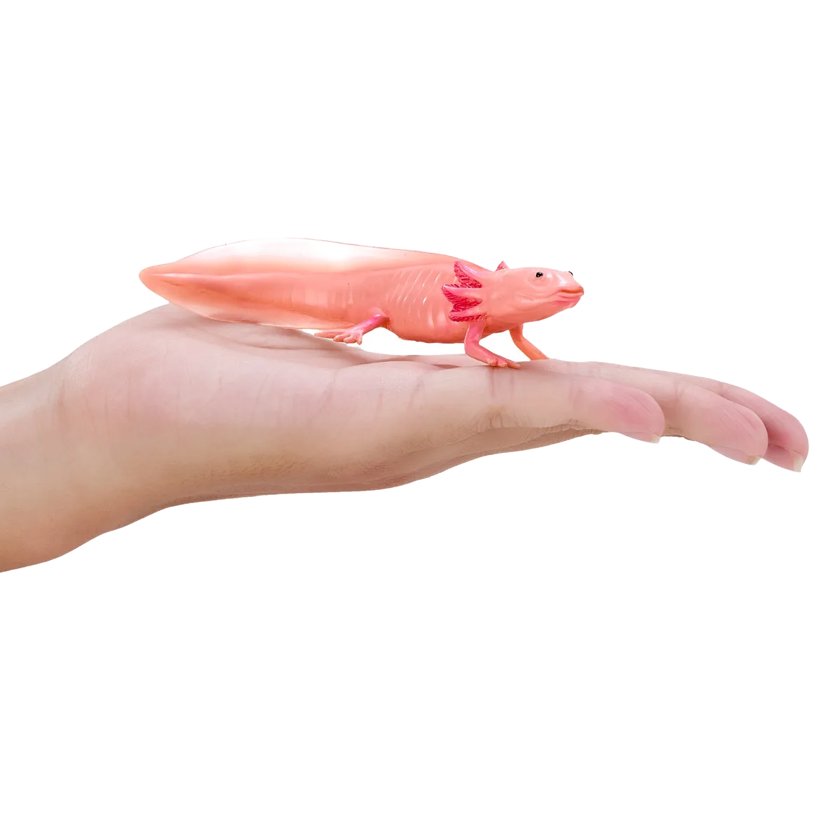 Mojo Axolotl Tail Toad - image 1