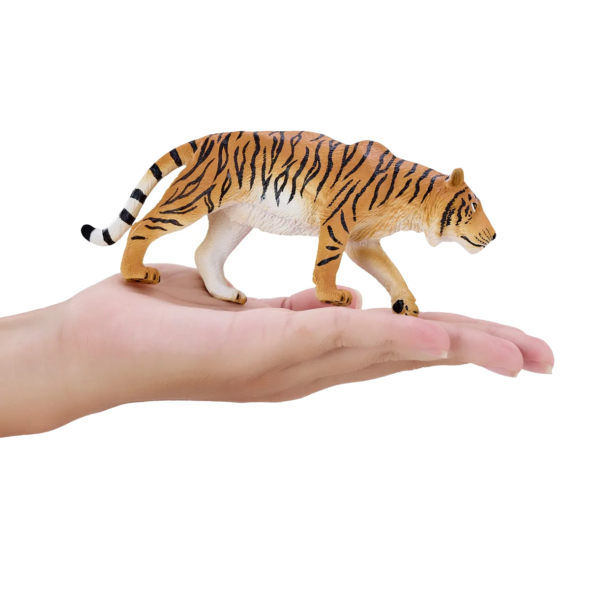Mojo Tiger on the hunt - image 1