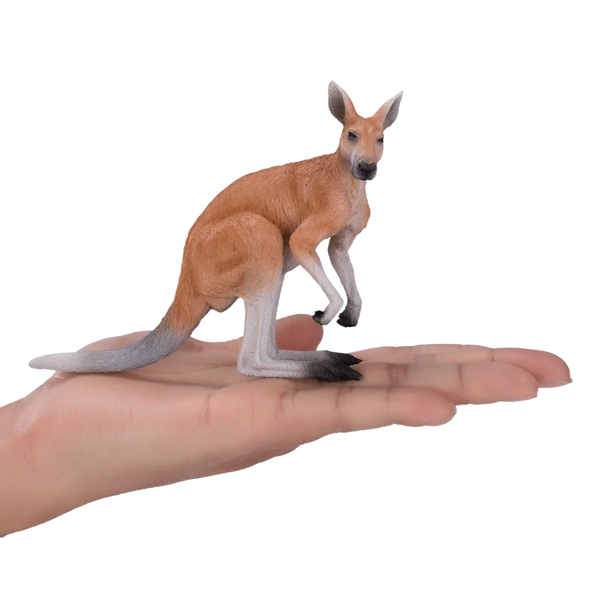 Mojo Kangaroo - image 1